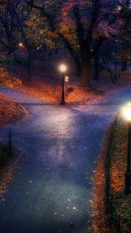 Park Autumn City Lights Pavement Trails Leaves iPhone Wallpaper