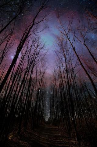 The Cynics Are Right Nine Times Out Of Ten Scenery Night Skies