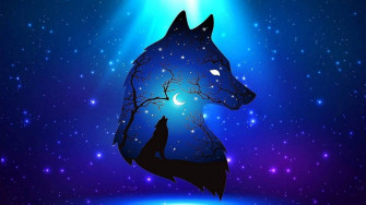 Blue Wolf Wallpaper
