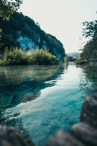 Green Trees Beside River During Daytime Photo Plitvice