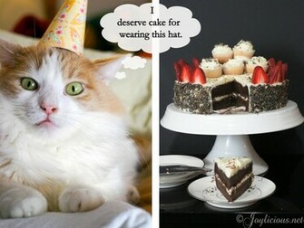 Funny BirtHDay Cat Desktop Background