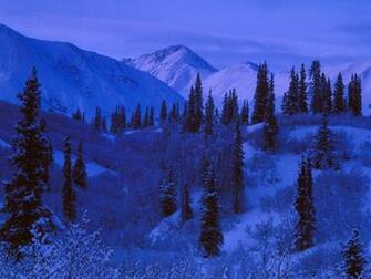 HD Wallpaper High Definition Desktop