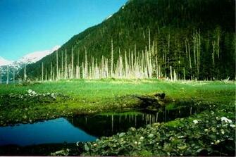 Alaska Scenery J7 Jpg