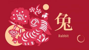 Year Of The Rat See What S In Store For Cnn Travel