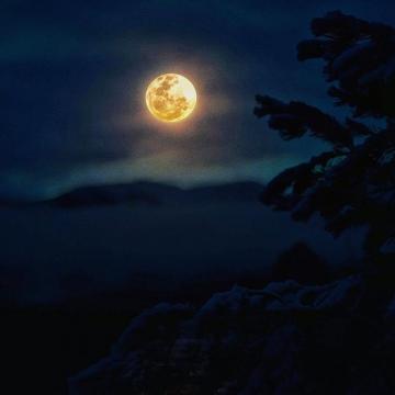 Moon Art Pictures Image