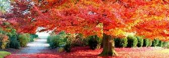 Timeline Covers Photos
