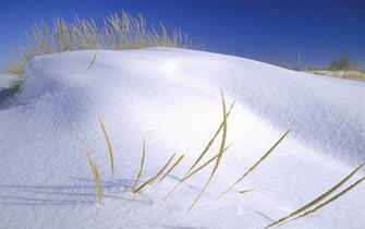 Pure White Wallpaper HD