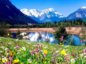 Spring Desktop Background Wallpaper