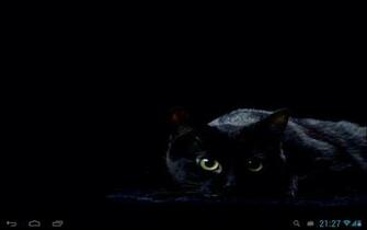 Black Cats Live Wallpaper Android Apps On Google Play
