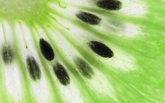 Kiwi HD Wallpaper Cate