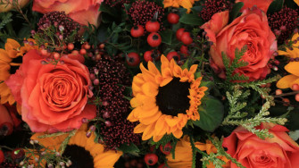 Sunflowers And Roses Bizkub8zchszq4mu Wallpaper