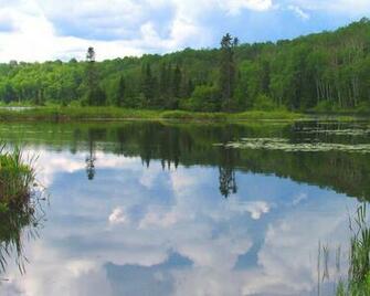 Nature Summer Wallpaper Stocks