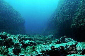 Rocks On Ocean Floor By Sami Sarkis