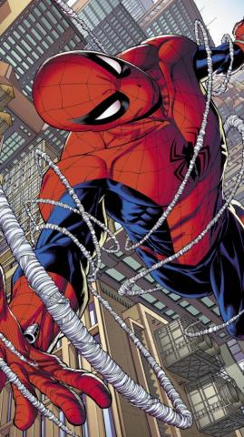 Spider Man Fan Art Wallpaper On