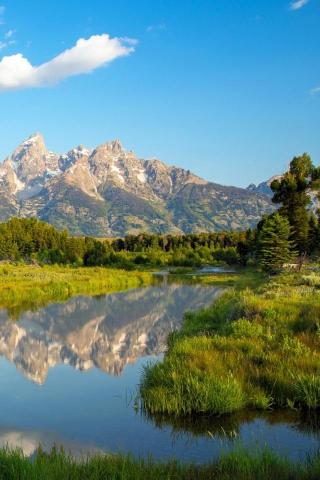 Morning Scenery Mobile Wallpaper Mobiles Wall