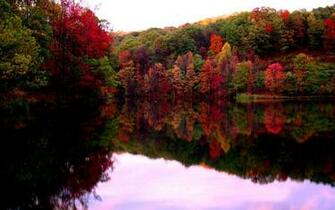 Wine Cellar Lake High Quality And Resolution Wallpaper