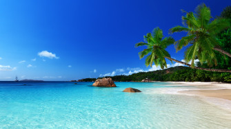 Scenery Wallpaper Tropical Ocean