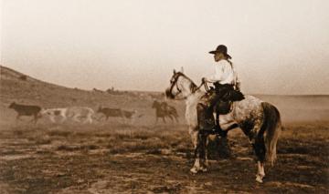 Lonesome Dove Tv Mini Series Photo Gallery