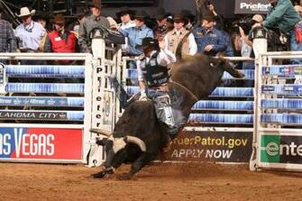 Pbr Bull Riding Wallpaper Express Classic