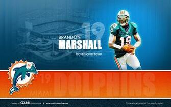 Enjoy This Miami Dolphins Background Wallpaper