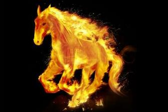 Horse 3d Apple iPhone Background Wallpaper High Quality