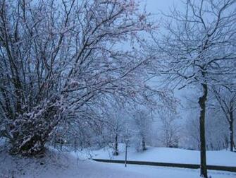 Early Winter Morning Wallpaper