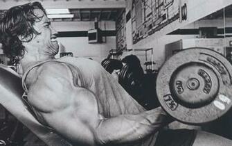 Actors Bodybuilding Wallpaper Desktop