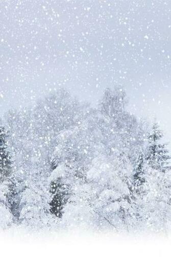 Snow iPhone Wallpaper Background For