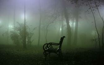 Fog Wallpaper Background