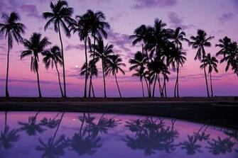 Purple Image Sunsets HD Wallpaper And Background Photos