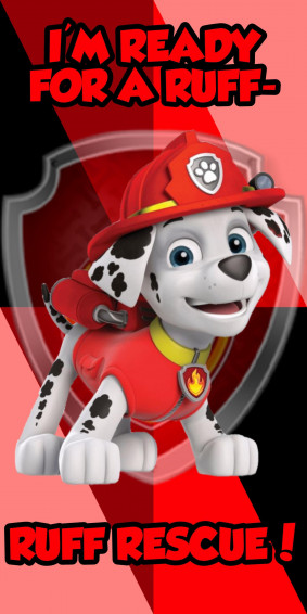 Marshall Wallpaper Paw Patrol