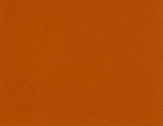 Pumpkin Spice
