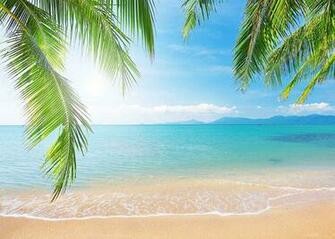 Amazon Summer Beach Background Sunshine Sea Blue Sky Cloud