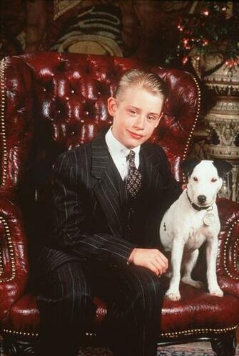 Macaulay Culkin Image HD Wallpaper And