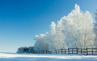 Snow Wallpaper Widescreen HD In Nature Imageci