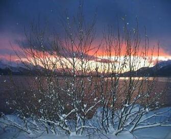 Winter Solstice Wallpaper