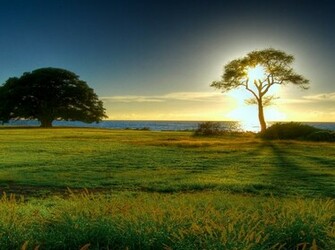 Spring Wallpaper New Nature Pixel HD