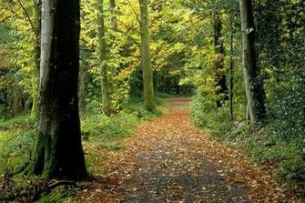 Peace Of Mind Beautiful Nature Wallpaper Pictures