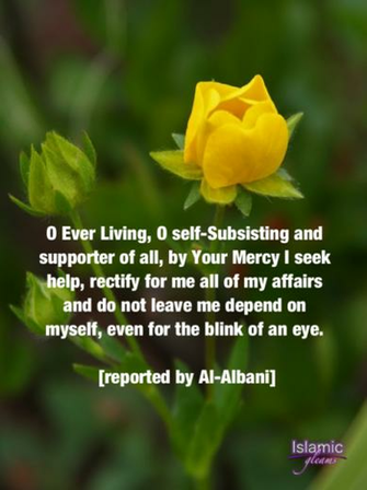 Islamic Quotes Prayer