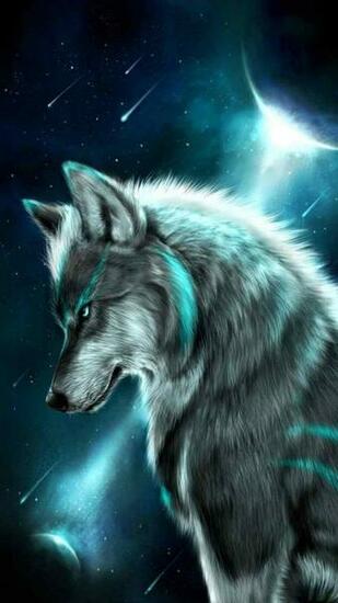 Some Beautiful Anime Wolf Kind Of Wolves Animated