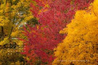 October Desktop Background