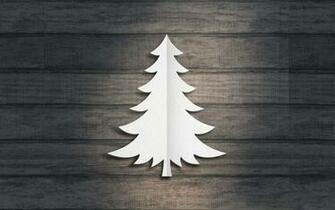 Papel De Parede Pinheiro Branco Wallpaper Para No