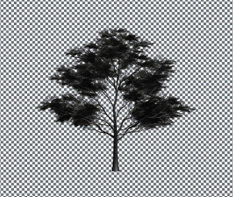 Premium Psd Wallpaper