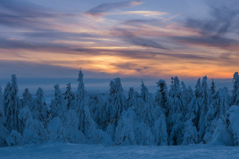 Winter Solstice HD Wallpaper