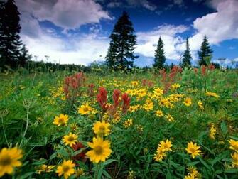 Wallpaper Rabbit Ears Pass Rocky Mountains Colorado