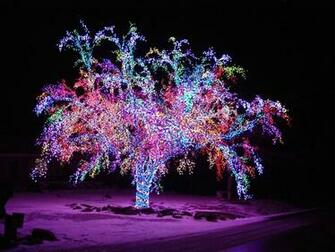 Holiday Christmas Lights Tree Snow Winter Wallpaper