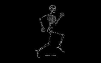 Anatomy Computer Wallpaper Desktop Background Id