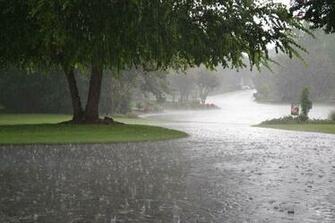 Beautiful Rain HD Wallpaper