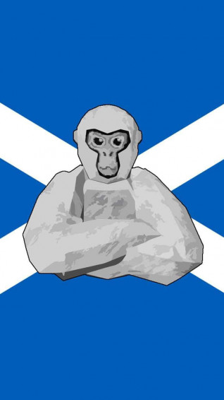 Gorilla Tag Background S For