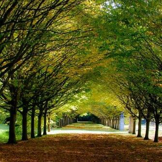 Its Autumn At Anglesey Abbey Cambridgeshire iPad Wallpaper